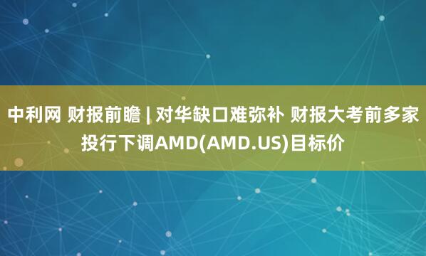 中利网 财报前瞻 | 对华缺口难弥补 财报大考前多家投行下调AMD(AMD.US)目标价