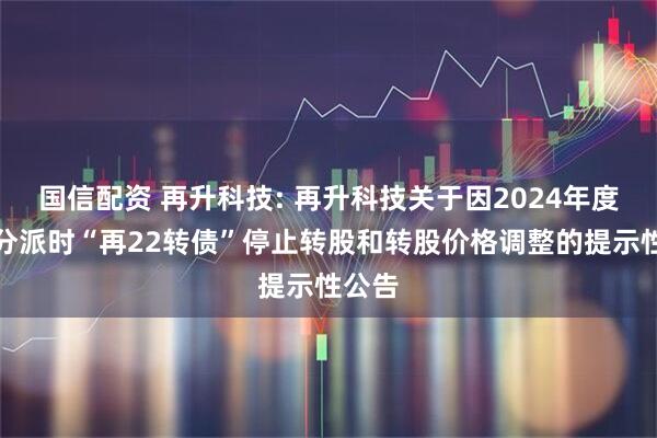国信配资 再升科技: 再升科技关于因2024年度权益分派时“再22转债”停止转股和转股价格调整的提示性公告