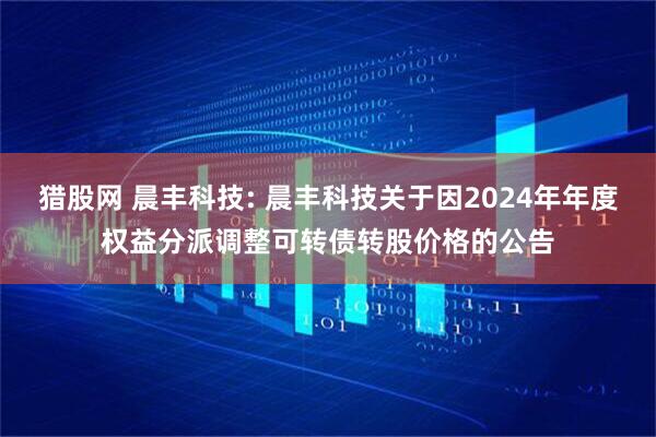 猎股网 晨丰科技: 晨丰科技关于因2024年年度权益分派调整可转债转股价格的公告