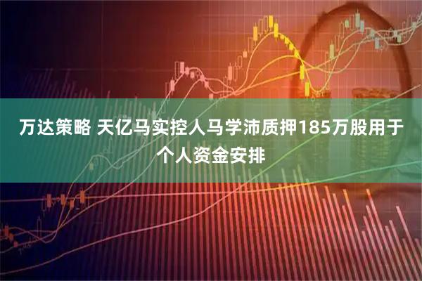 万达策略 天亿马实控人马学沛质押185万股用于个人资金安排
