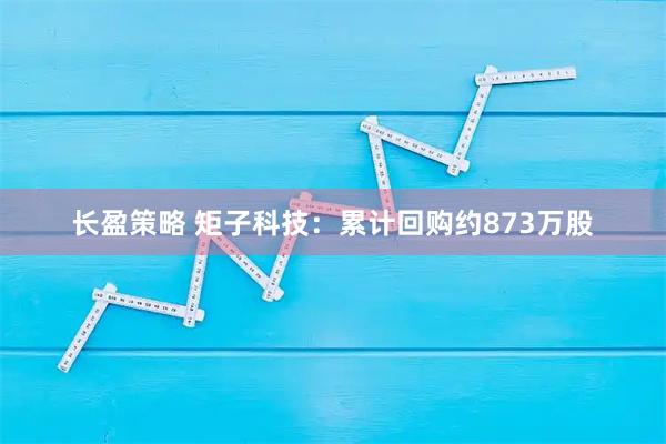 长盈策略 矩子科技：累计回购约873万股