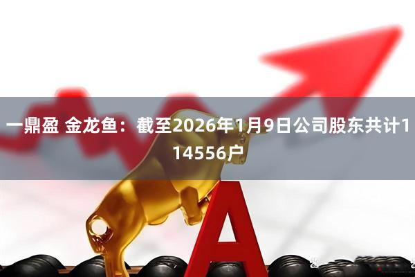 一鼎盈 金龙鱼：截至2026年1月9日公司股东共计114556户