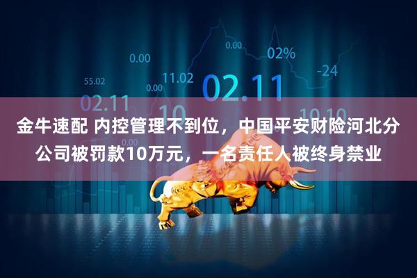 金牛速配 内控管理不到位，中国平安财险河北分公司被罚款10万元，一名责任人被终身禁业