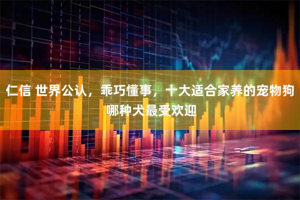 仁信 世界公认，乖巧懂事，十大适合家养的宠物狗 哪种犬最受欢迎