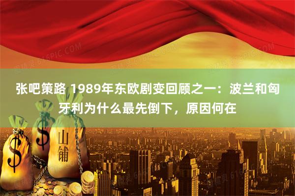 张吧策路 1989年东欧剧变回顾之一：波兰和匈牙利为什么最先倒下，原因何在