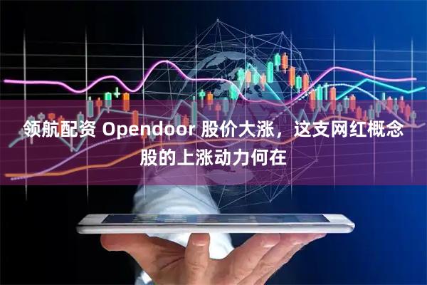 领航配资 Opendoor 股价大涨，这支网红概念股的上涨动力何在